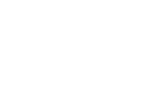 XVI Sports